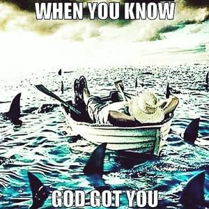 Meet your Posher, Dante